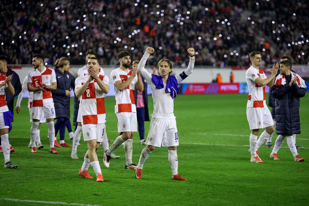 昙花一现 昙花一现