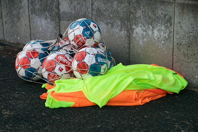 家队的功勋 家队的功勋