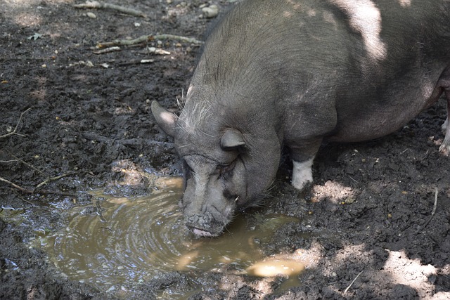 经典案例 经典案例